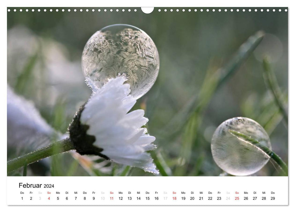 Fragile Schönheiten - Gefrorene Seifenblasen (CALVENDO Wandkalender 2024)