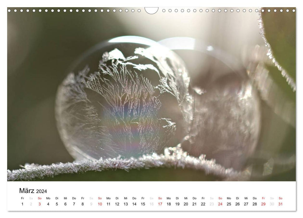 Fragile Schönheiten - Gefrorene Seifenblasen (CALVENDO Wandkalender 2024)