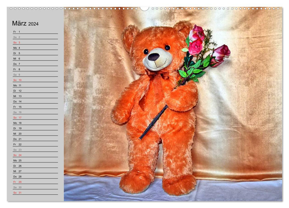 TEDDY BEAR, OH TEDDY BEAR... (CALVENDO Premium Wall Calendar 2024) 