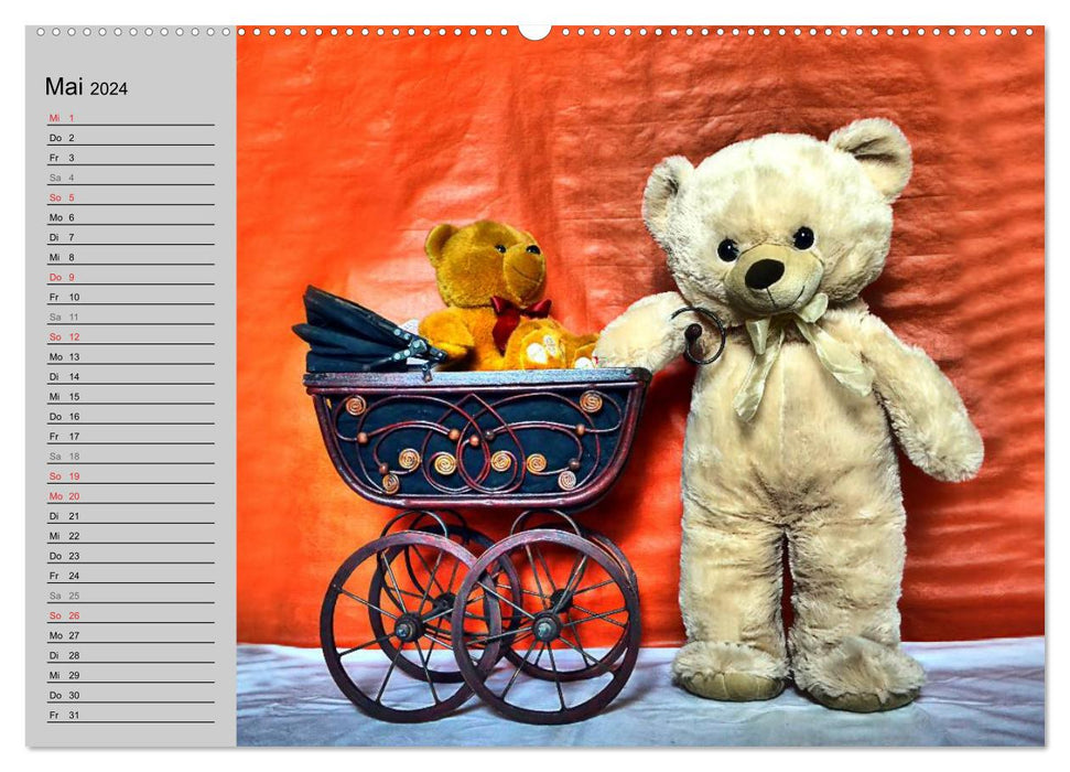 TEDDY BEAR, OH TEDDY BEAR... (CALVENDO Premium Wall Calendar 2024) 