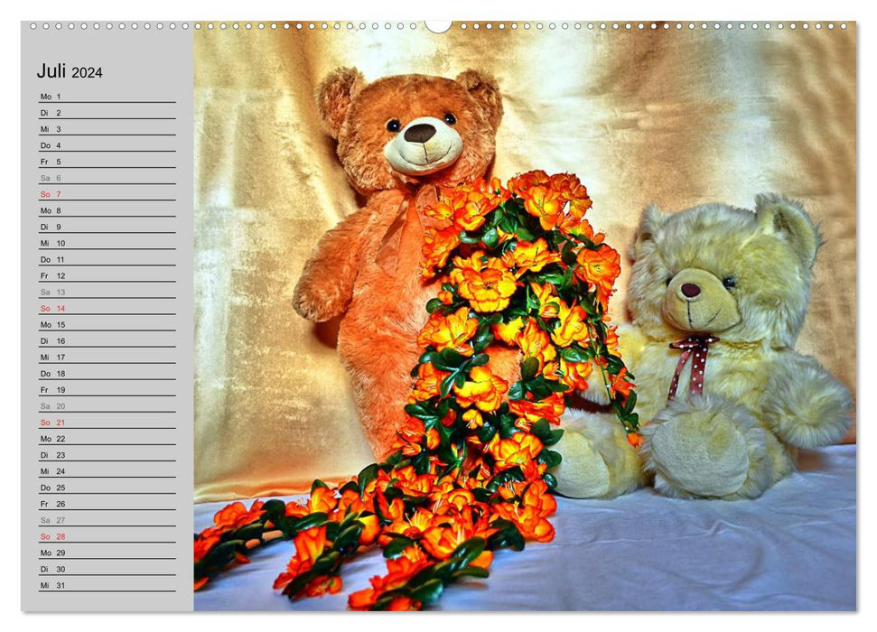 TEDDY BEAR, OH TEDDY BEAR... (CALVENDO Premium Wall Calendar 2024) 