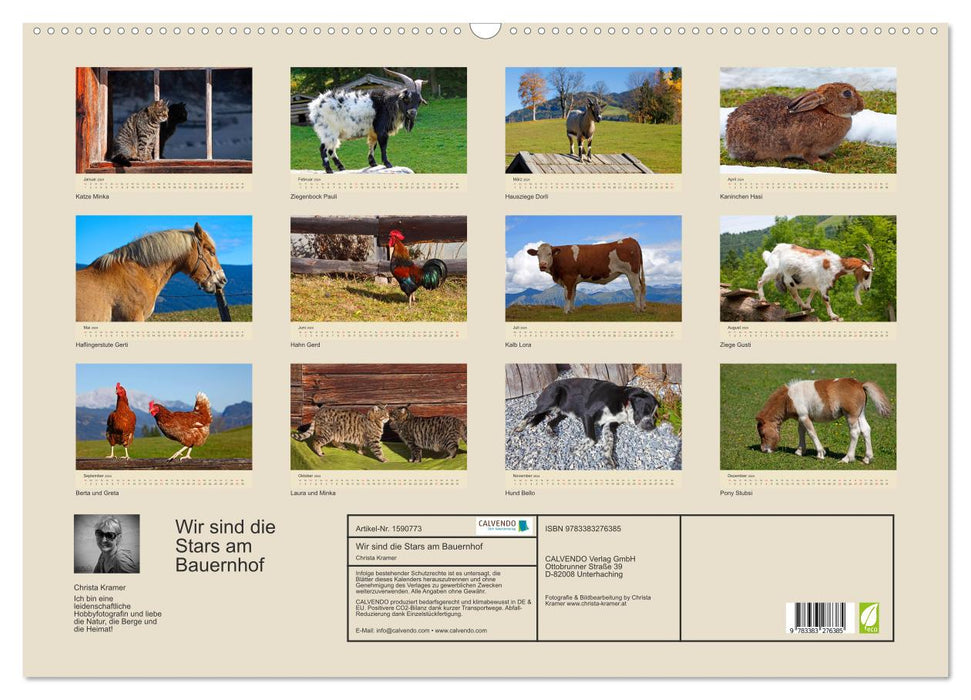 Nous sommes les stars de la ferme (Calendrier mural CALVENDO 2024) 