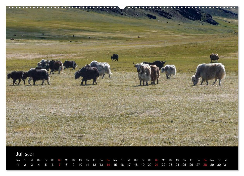 Mongolia - Land of Nomads (CALVENDO Premium Wall Calendar 2024) 