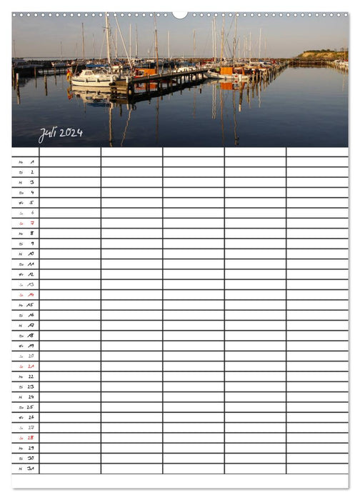 Denmark - Baltic Sea Coast (CALVENDO Premium Wall Calendar 2024) 