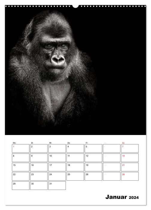 Character heads from the world of animals (CALVENDO wall calendar 2024) 