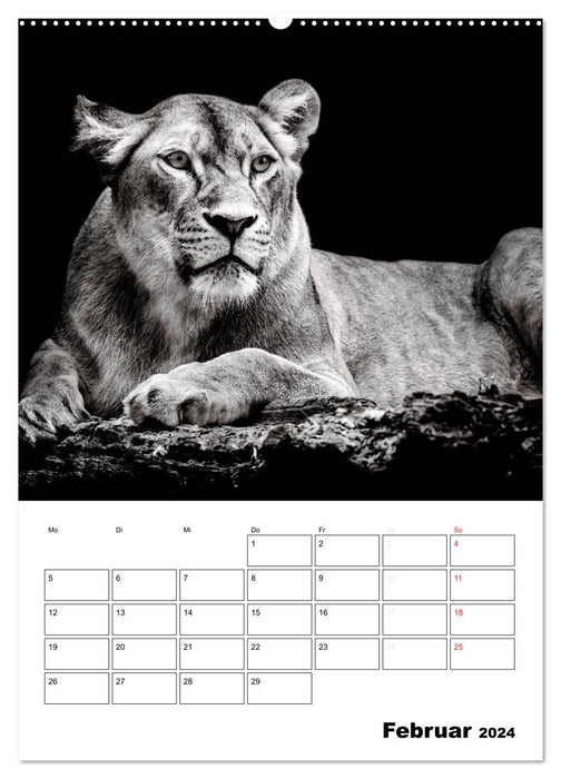 Character heads from the world of animals (CALVENDO wall calendar 2024) 