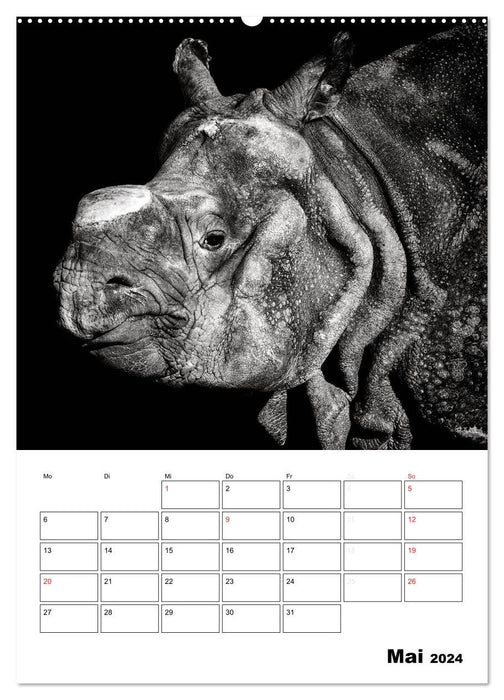 Character heads from the world of animals (CALVENDO wall calendar 2024) 