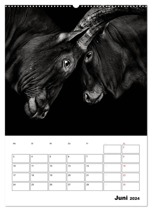 Character heads from the world of animals (CALVENDO wall calendar 2024) 