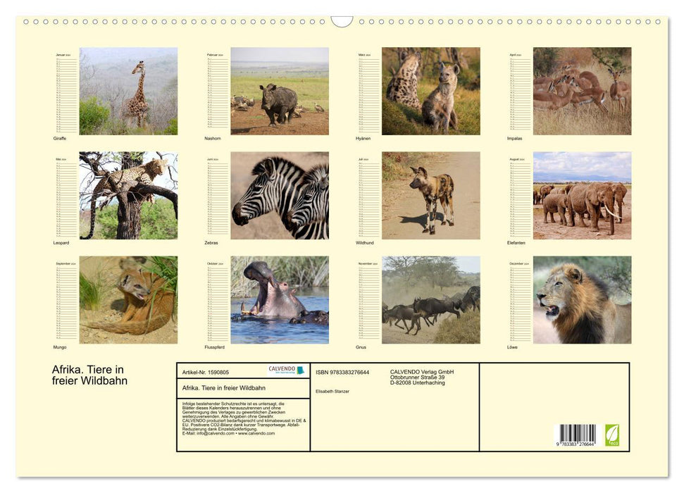 Afrique. Animaux à l'état sauvage (Calendrier mural CALVENDO 2024) 