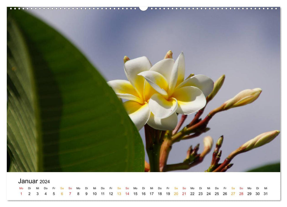 La Réunion - On the island of feelings (CALVENDO Premium Wall Calendar 2024) 