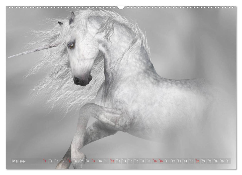 Licornes liées aux rêves (Calendrier mural CALVENDO Premium 2024) 