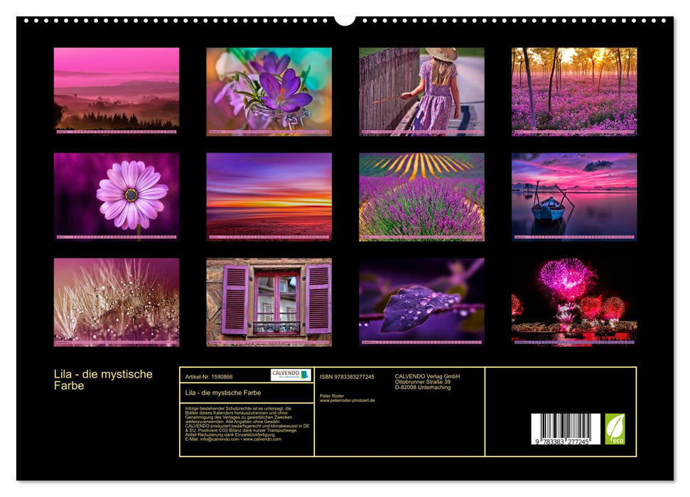 Violet - la couleur mystique (Calendrier mural CALVENDO Premium 2024) 