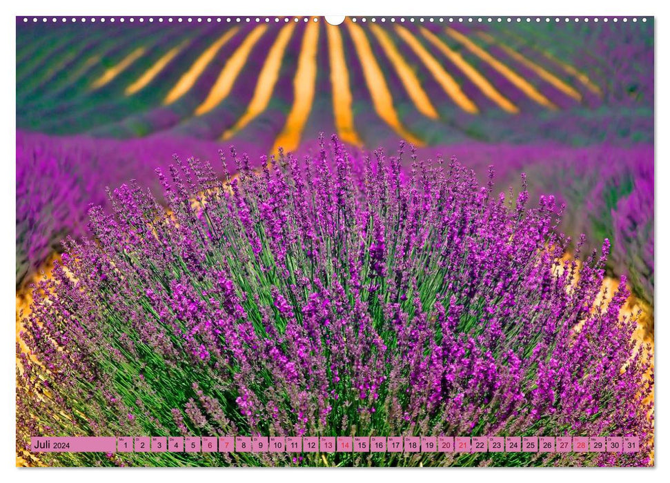 Violet - la couleur mystique (Calendrier mural CALVENDO Premium 2024) 