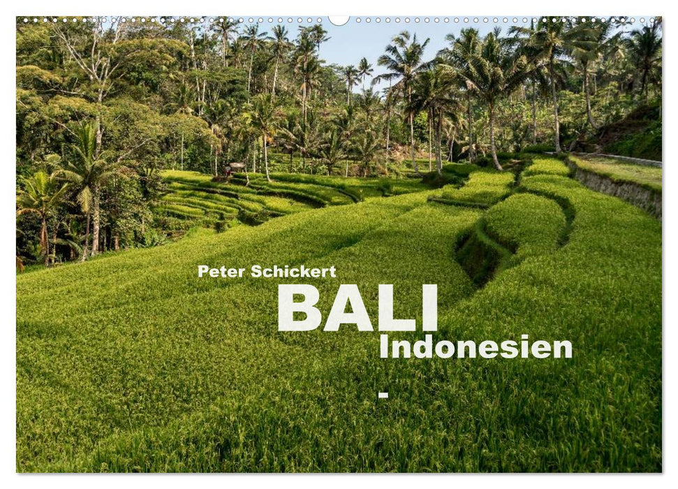 Bali - Indonesia (CALVENDO wall calendar 2024) 