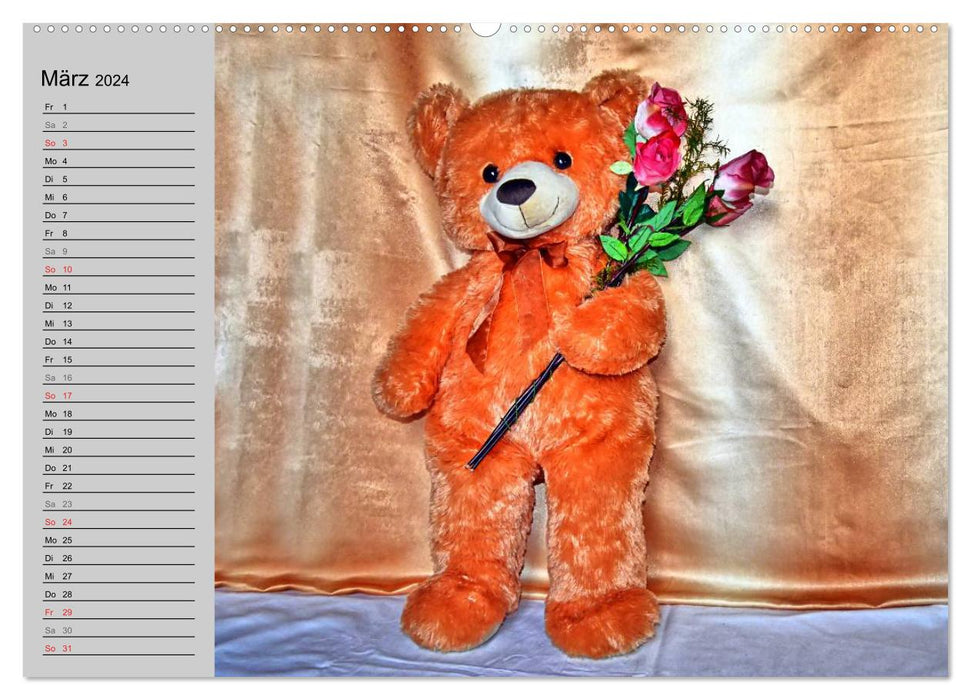 TEDDY BEAR, OH TEDDY BEAR... (CALVENDO wall calendar 2024) 