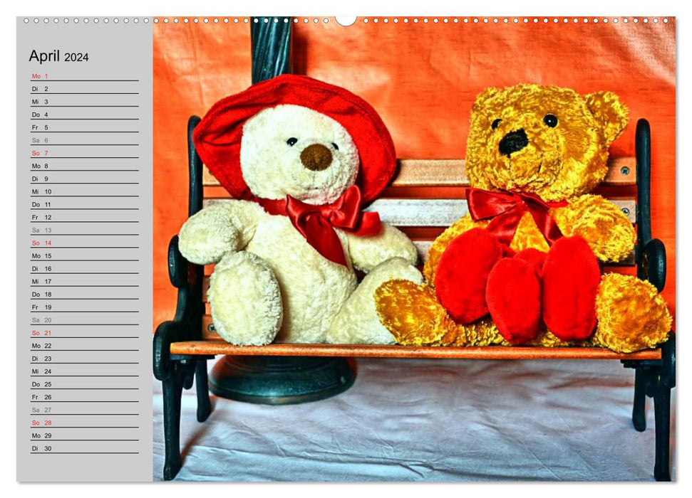 TEDDY BEAR, OH TEDDY BEAR... (CALVENDO wall calendar 2024) 