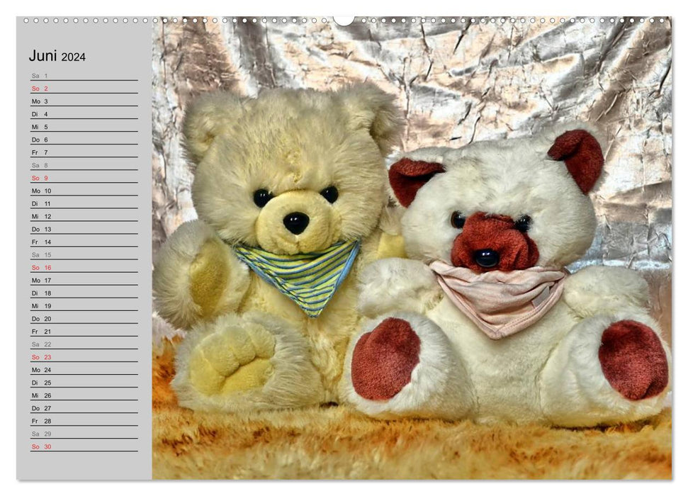 TEDDY BEAR, OH TEDDY BEAR... (CALVENDO wall calendar 2024) 