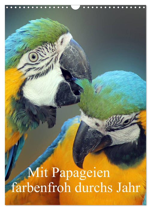 Colorful throughout the year with parrots (CALVENDO wall calendar 2024) 