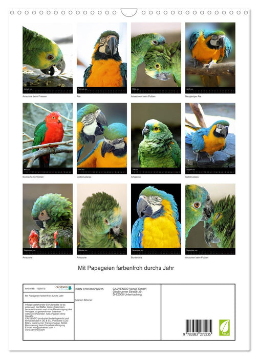 Colorful throughout the year with parrots (CALVENDO wall calendar 2024) 