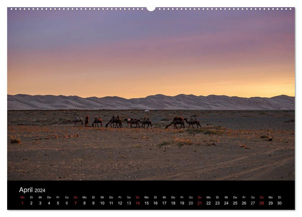 Mongolia - Land of Nomads (CALVENDO Wall Calendar 2024) 