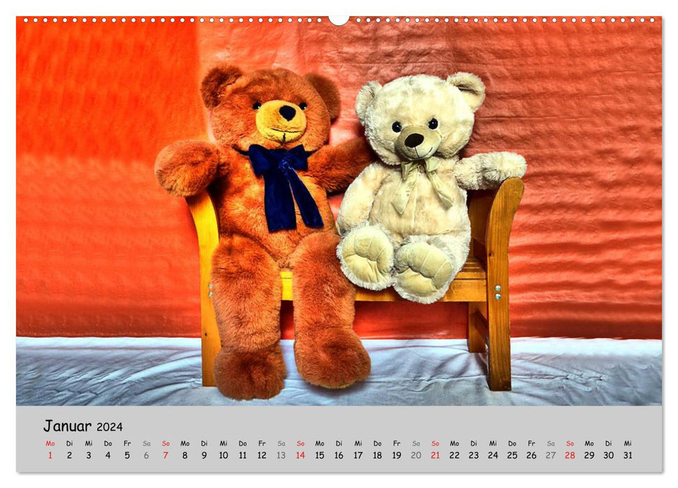 TEDDY BEAR, OH TEDDY BEAR... (CALVENDO Premium Wall Calendar 2024) 