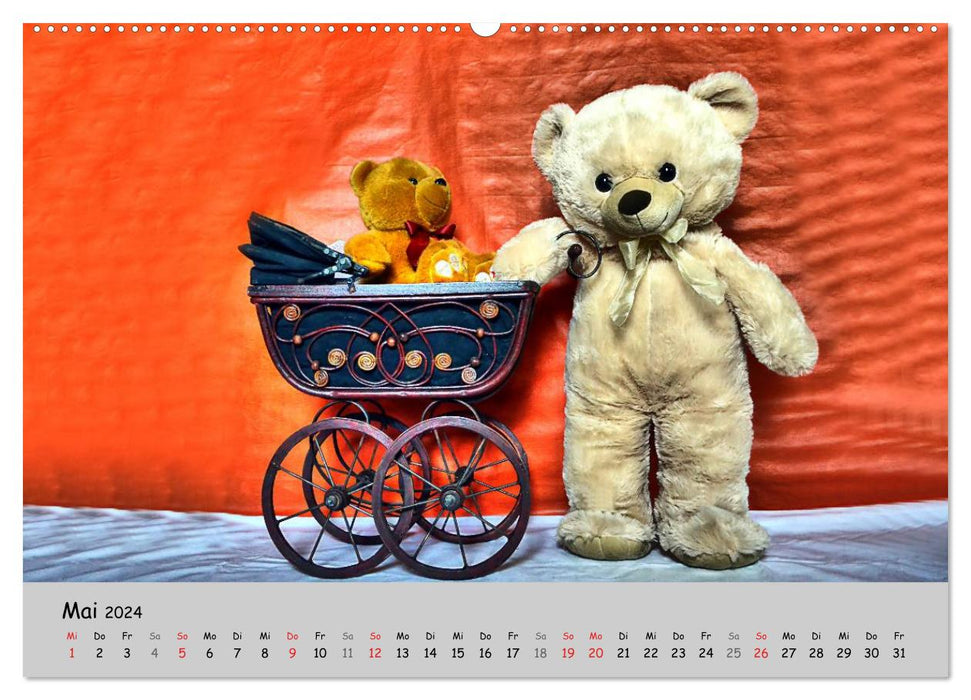 TEDDYBÄR, OH TEDDYBÄR... (CALVENDO Premium Wandkalender 2024)