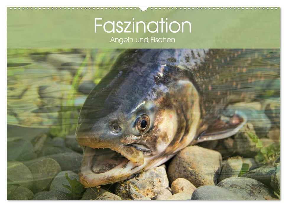 The fascination of fishing and fishing (CALVENDO wall calendar 2024) 