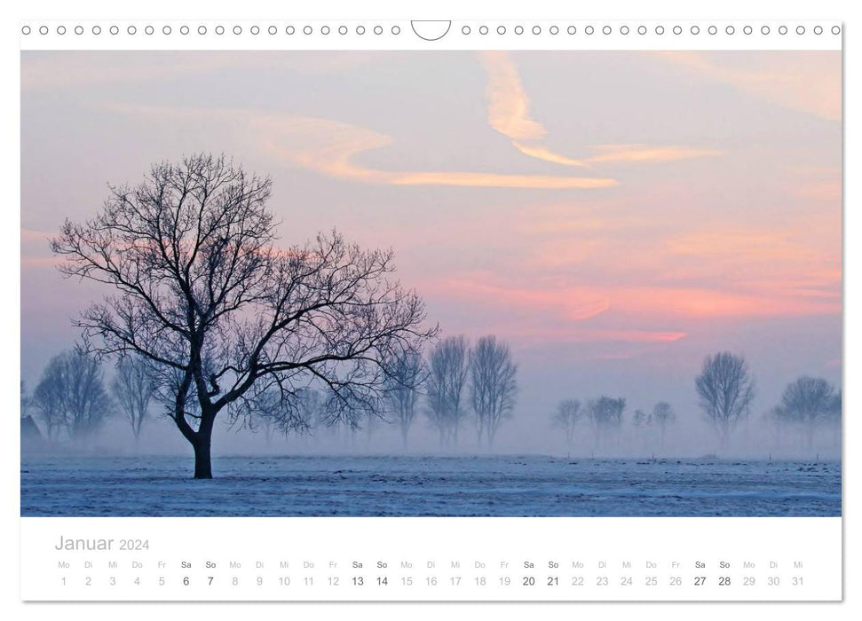 Paysages de polders en Hollande (calendrier mural CALVENDO 2024) 