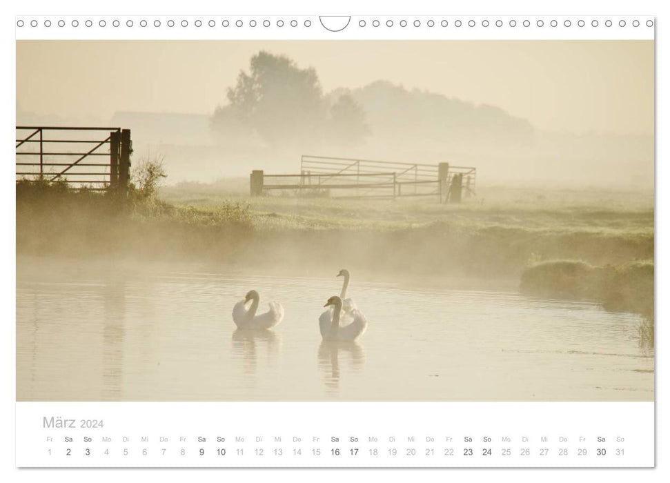 Paysages de polders en Hollande (calendrier mural CALVENDO 2024) 