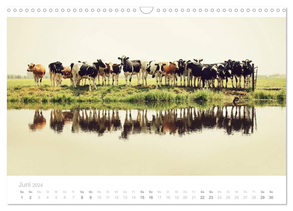 Paysages de polders en Hollande (calendrier mural CALVENDO 2024) 