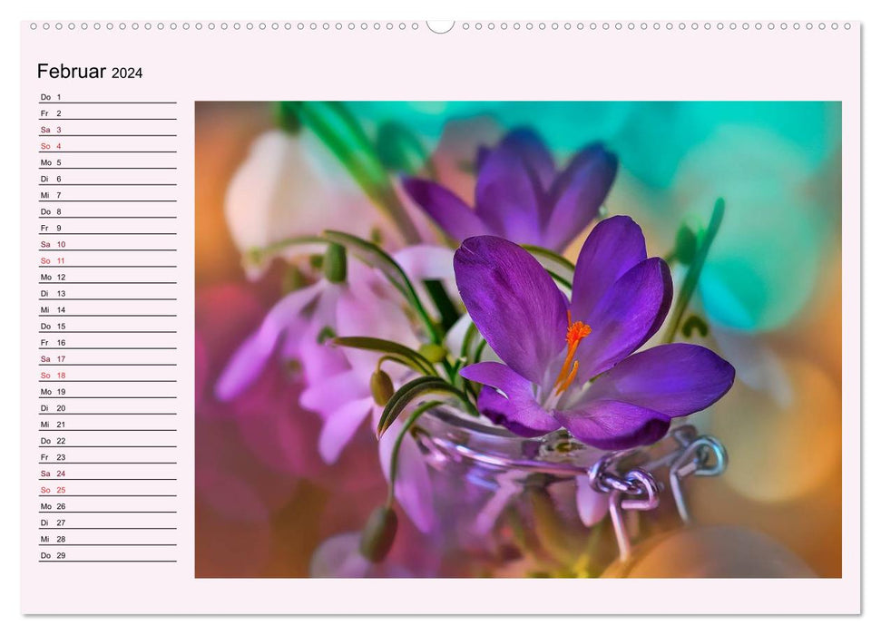 Purple - the mystical color (CALVENDO wall calendar 2024) 