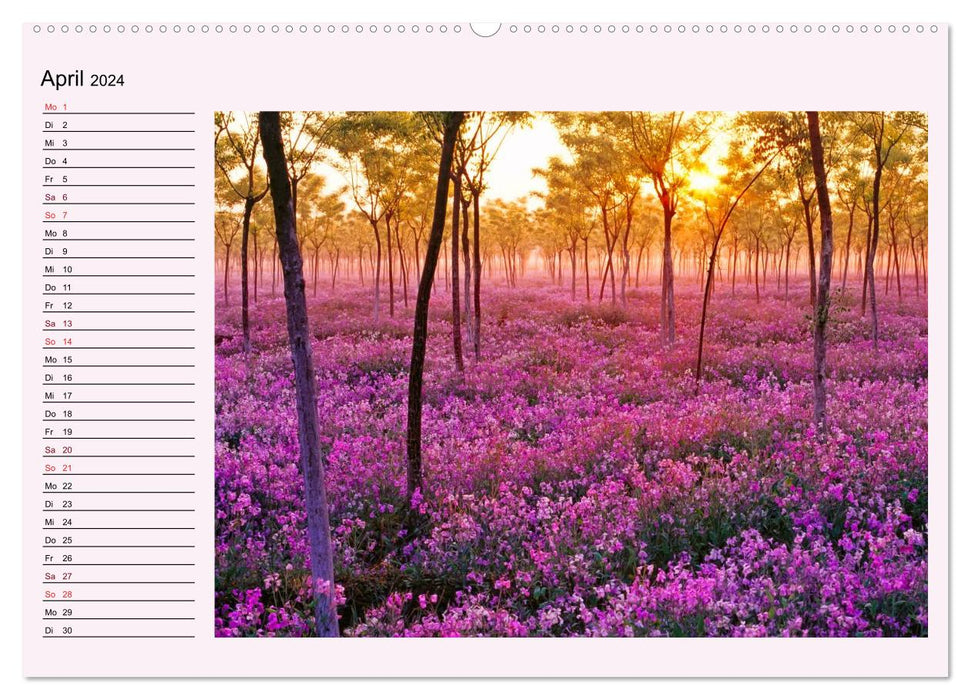 Purple - the mystical color (CALVENDO wall calendar 2024) 