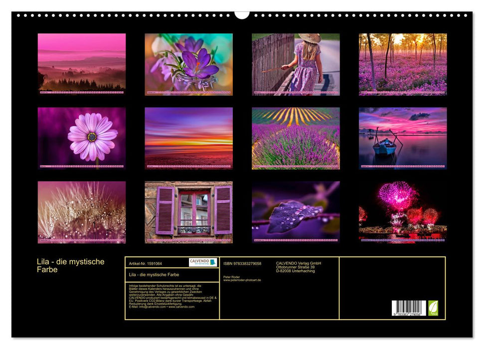 Violet - la couleur mystique (Calendrier mural CALVENDO 2024) 