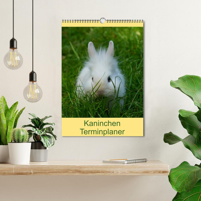 Planificateur de rendez-vous Lapin (Calendrier mural CALVENDO 2024) 