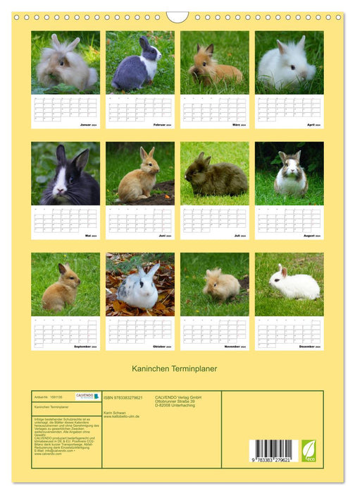 Planificateur de rendez-vous Lapin (Calendrier mural CALVENDO 2024) 