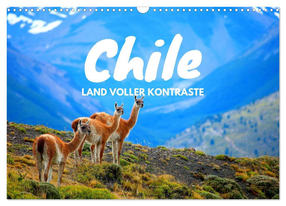 Chili - pays plein de contrastes (Calendrier mural CALVENDO 2024) 