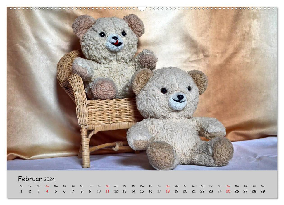 TEDDY BEAR, OH TEDDY BEAR... (Calendrier mural CALVENDO 2024) 