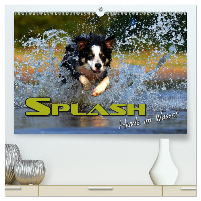 SPLASH - Hunde im Wasser (CALVENDO Premium Wandkalender 2024)