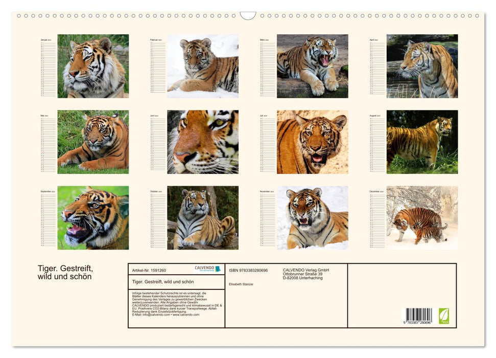 Tiger. Gestreift, wild und schön (CALVENDO Wandkalender 2024)