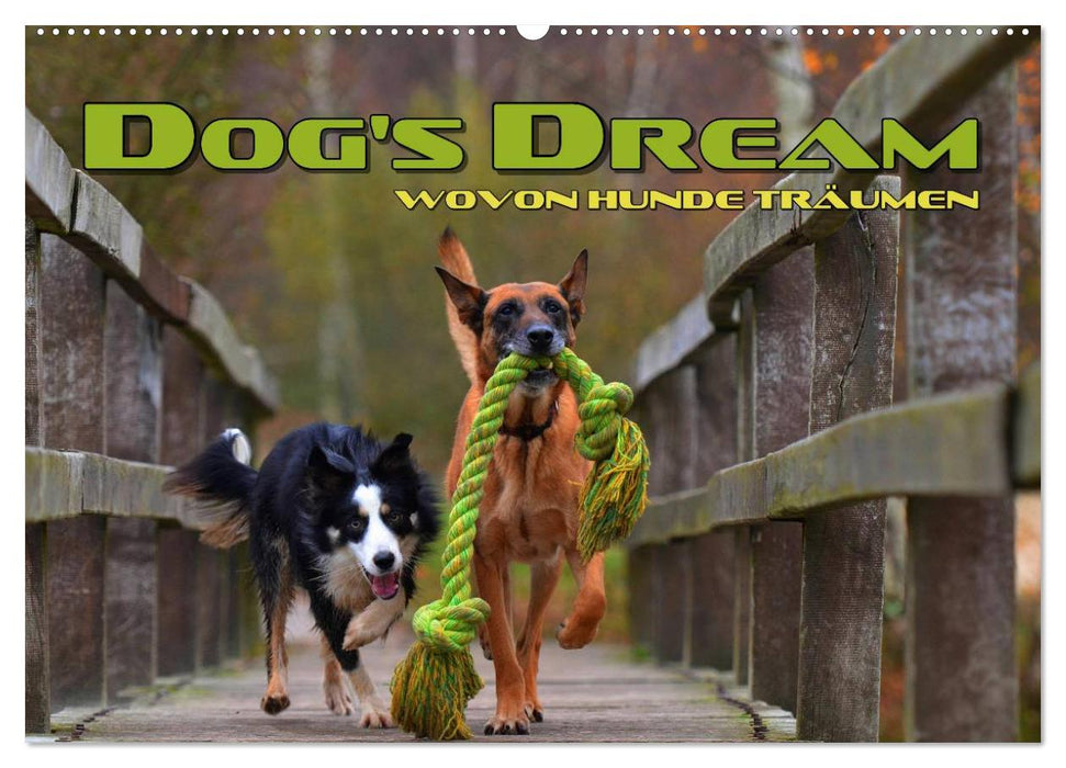 DOG'S DREAM - de quoi rêvent les chiens (Calendrier mural CALVENDO 2024) 