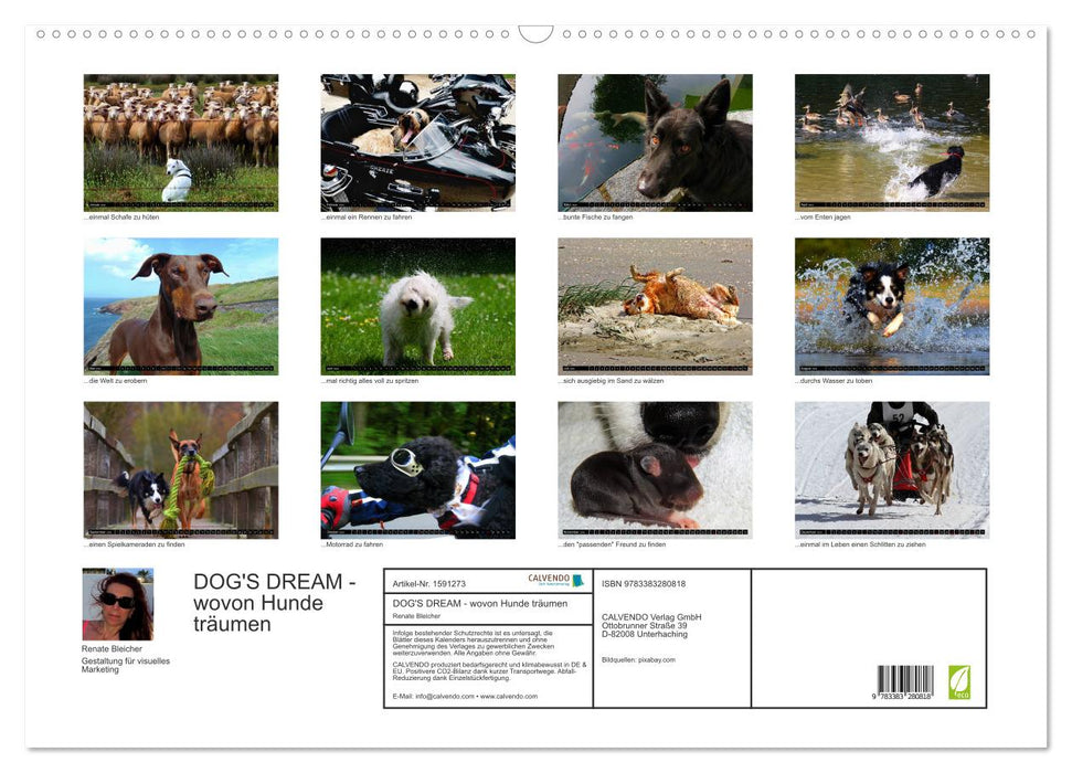 DOG'S DREAM - wovon Hunde träumen (CALVENDO Wandkalender 2024)