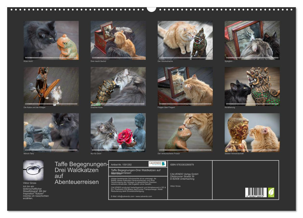 Taffe Begegnungen-Drei Waldkatzen auf Abenteuerreisen (CALVENDO Wandkalender 2024)