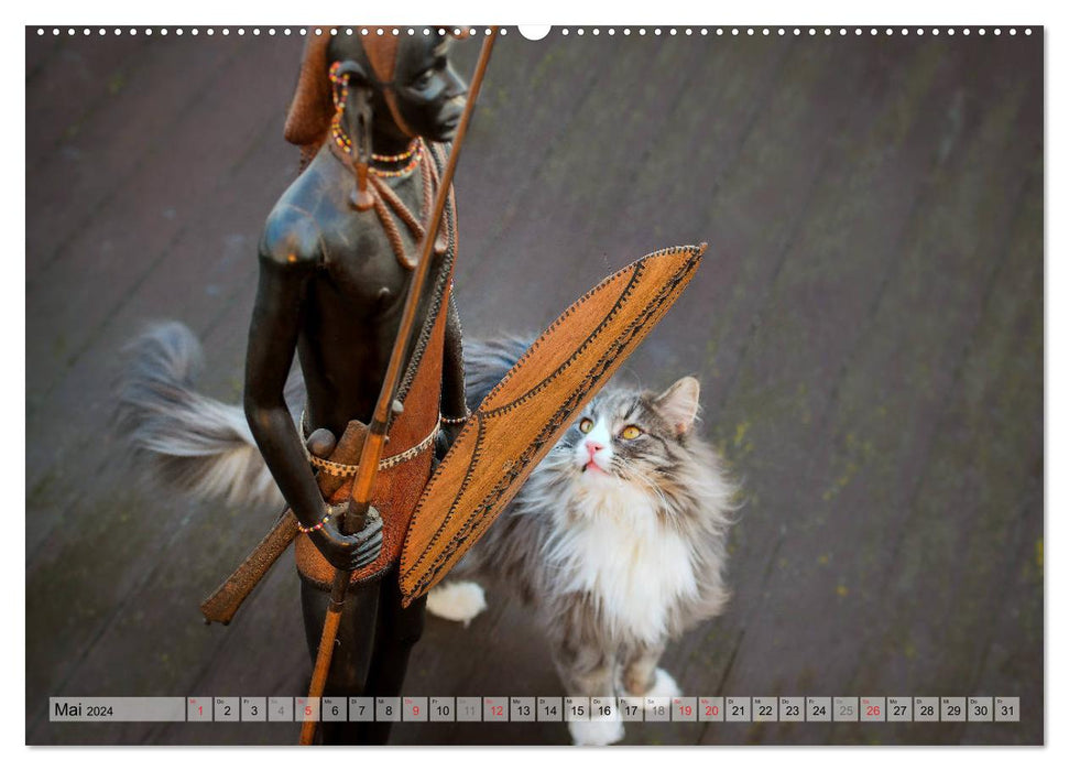 Rencontres difficiles - trois chats des forêts en voyage d'aventure (calendrier mural CALVENDO 2024) 