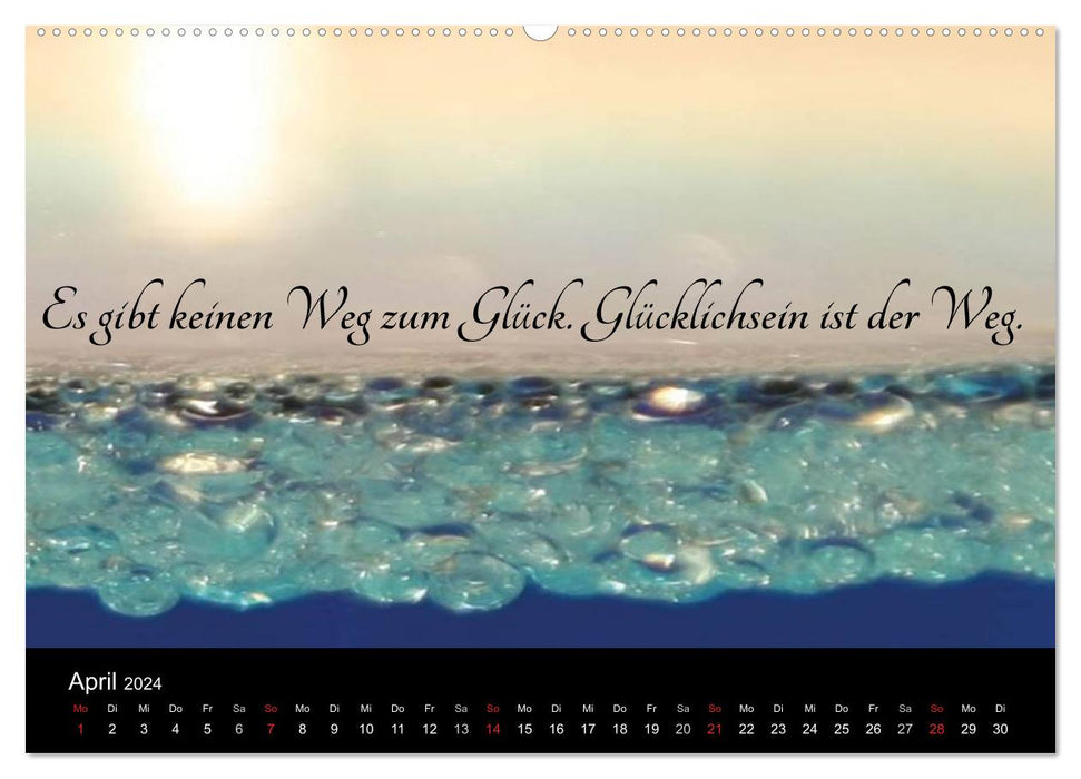 With sayings and wisdom through the year (CALVENDO wall calendar 2024) 