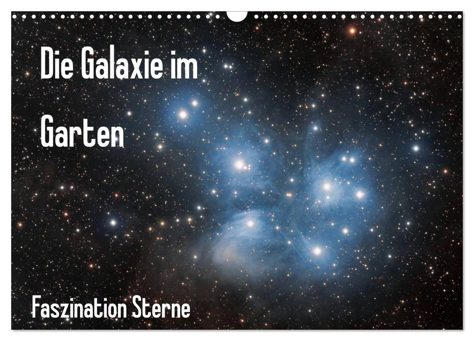 La galaxie dans le jardin (Calendrier mural CALVENDO 2024) 