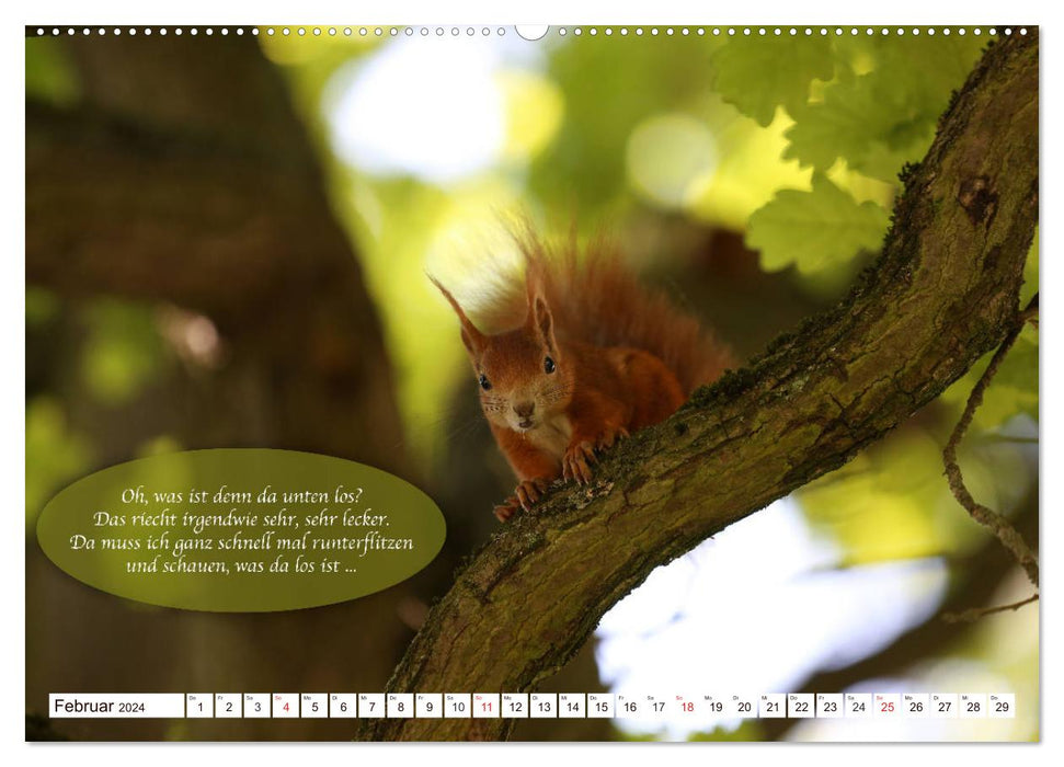 Eichhörnchen - Lustige Kurzgeschichten mit den quirligen Wildtieren (CALVENDO Premium Wandkalender 2024)