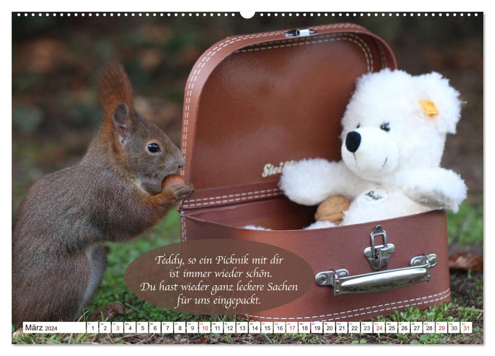 Eichhörnchen - Lustige Kurzgeschichten mit den quirligen Wildtieren (CALVENDO Premium Wandkalender 2024)