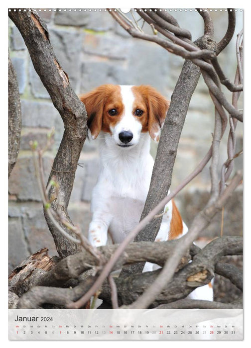 Hundepersönlichkeiten (CALVENDO Premium Wandkalender 2024)