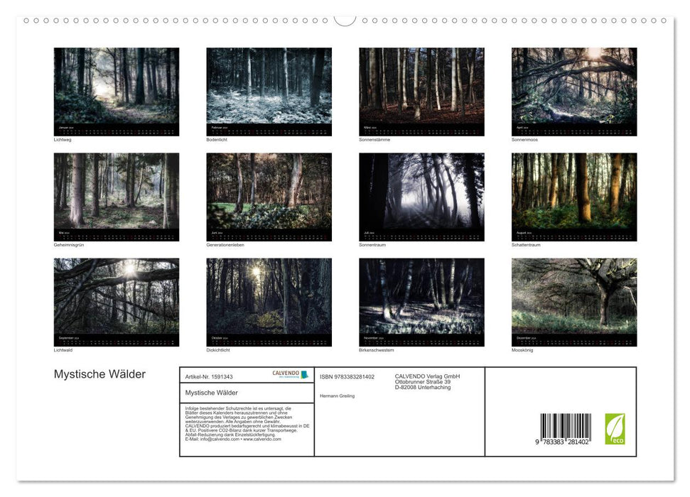 Mystische Wälder (CALVENDO Premium Wandkalender 2024)