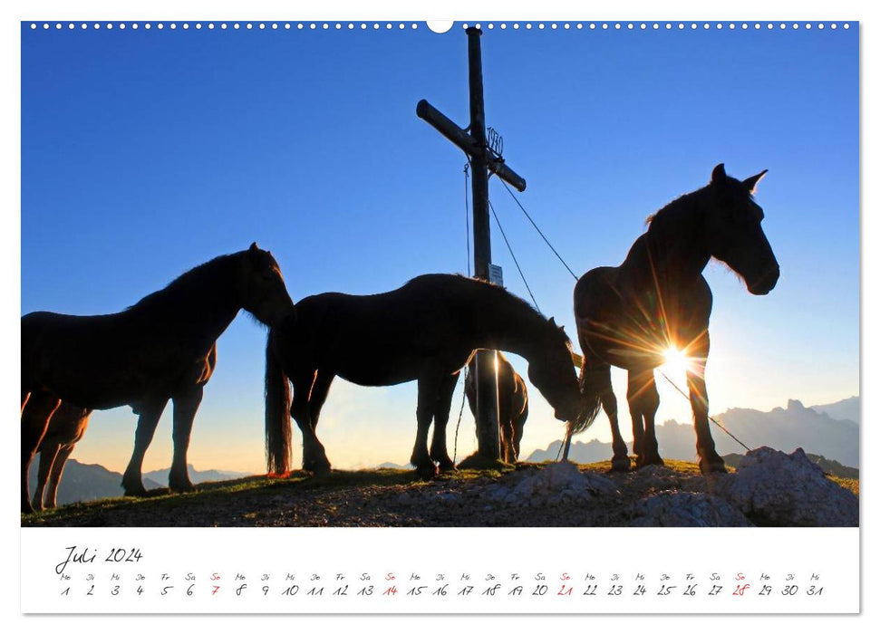 Chevaux et poneys au paradis (Calendrier mural CALVENDO Premium 2024) 